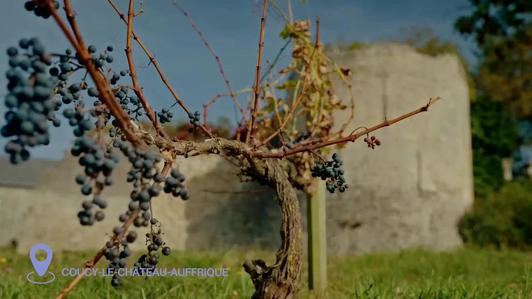 Vibrez au rythme de l'été 12