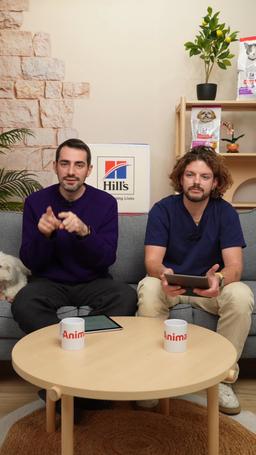 Animalis x Hill's : Les clés nutrition qui engagent